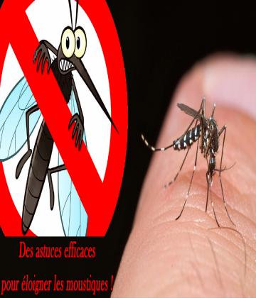 Comme chaque année pendant l’été, le moustique a la fâcheuse tendance à s’inviter dans notre maison ou sur notre terrasse. Pour éviter les piqûres et profiter des soirées d'été, nous vous proposons des des astuces anti-moustiques efficaces.