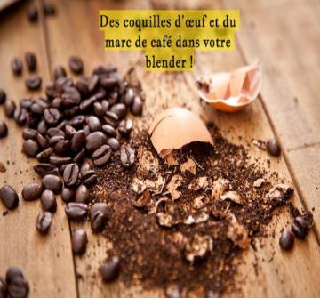 Mélangez des coquilles d’œuf et du marc de café et vous disposerez d’un produit miracle !