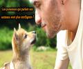 Les gens qui parlent aux animaux seraient plus sensibles et plus intelligents. Il est tout à fait normal de parler à son animal comme s’il s’agissait d’un être humain.