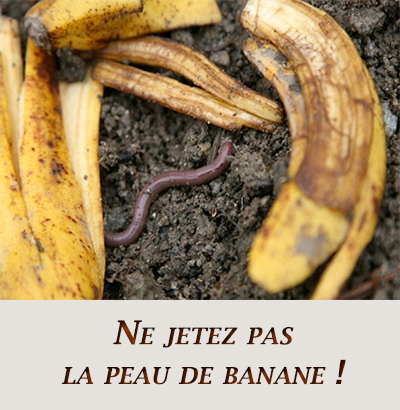 Ne jetez pas la peau de banane !