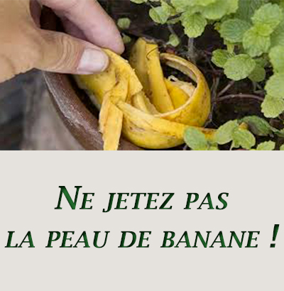 Ne jetez pas la peau de banane !