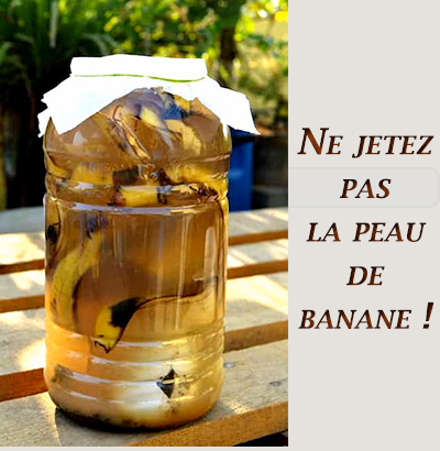 Ne jetez pas la peau de banane !