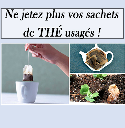 Ne jetez plus vos sachets de thé usagés !