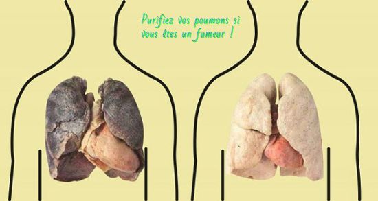 Purifiez vos poumons si vous êtes un fumeur