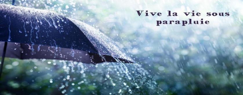 vive la vie sous parapluie !