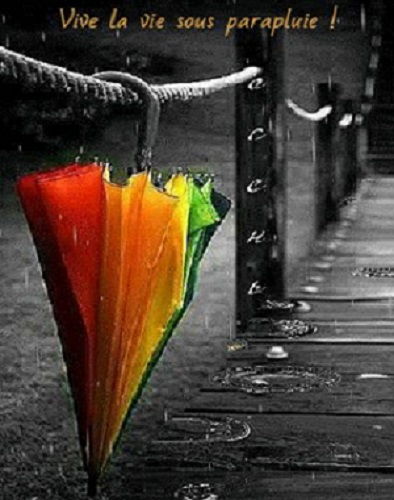 vive la vie sous parapluie !