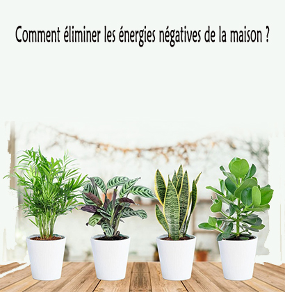Comment éliminer les énergies négatives de la maison ?