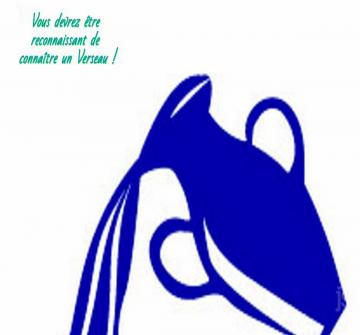 Une personne née sous le signe du Verseau (20 janvier - 18 février) a de nombreux traits distinctifs.Ils sont parmi les personnes les plus enviées.
