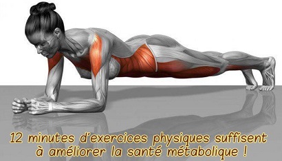 12 minutes d’exercices physiques suffisent à améliorer la santé métabolique !