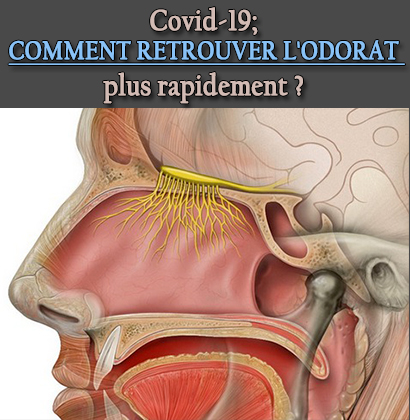 Covid-19; Comment retrouver l'odorat plus rapidement ?