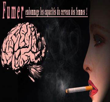 Les fumeurs devraient y penser à deux fois avant d'allumer leur prochaine cigarette. On savait que le tabac favorisait le cancer et de nombreuses maladies cardio-vasculaires, mais dernière nouvelle en date, il rendrait aussi moins intelligent, ou du moins, moins vif intellectuellement. 