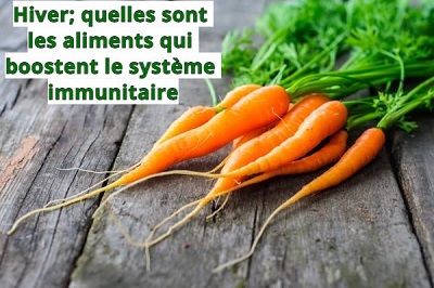 Hiver; quelles sont les aliments qui boostent le système immunitaire 