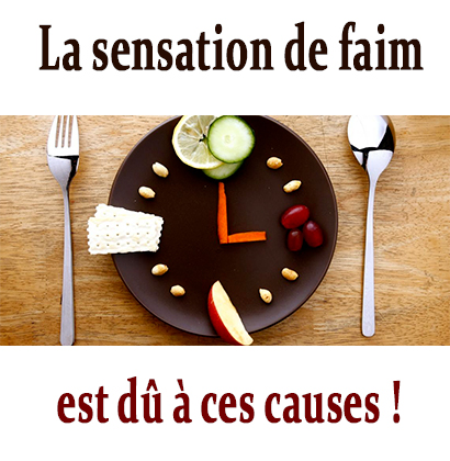 La sensation de faim est dû à ces causes !