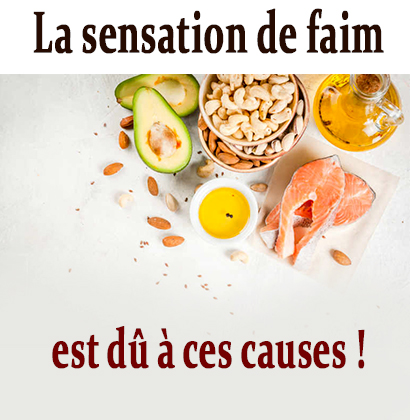 La sensation de faim est dû à ces causes !