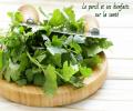 le persil est incontestablement l'une des herbes aromatiques les plus consommées dans le monde ! 