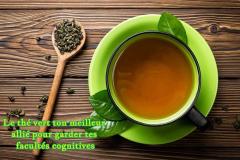 Des études ont établi une corrélation significative entre la consommation de thé vert et la préservation des facultés cognitives chez les personnes vieillissantes.
