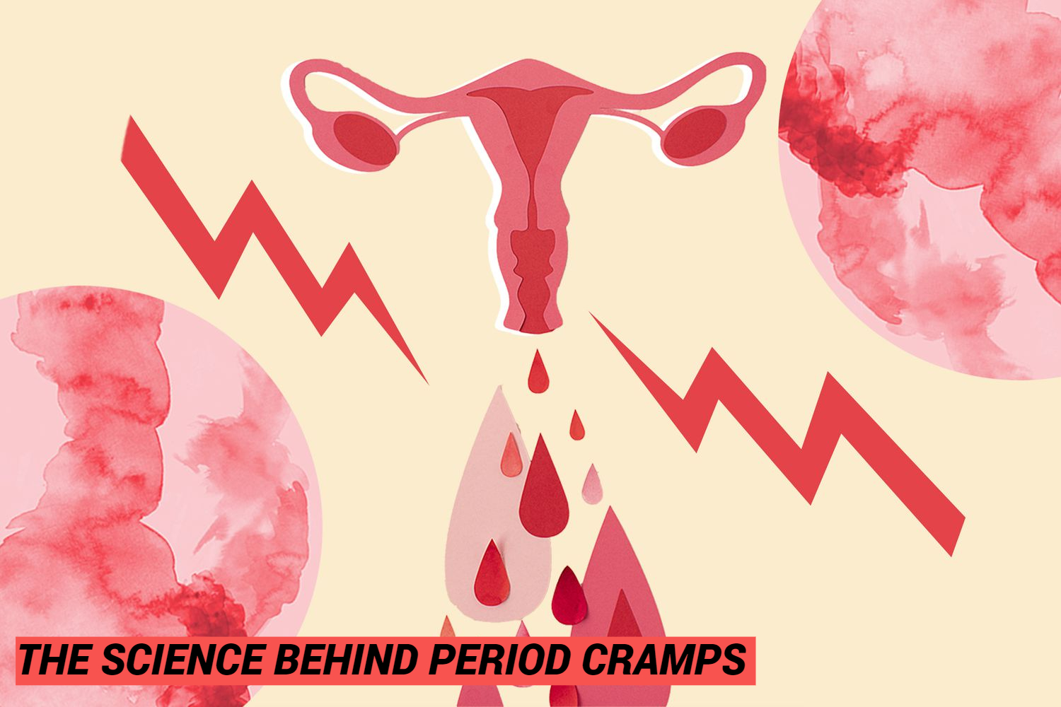 The Science Behind Period Cramps and How to Manage Them