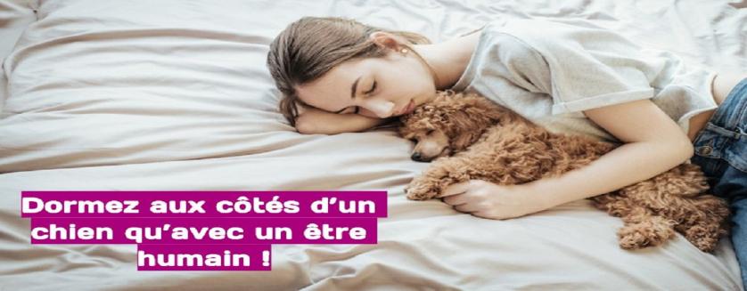 Dormez aux côtés d’un chien qu’avec un être humain !